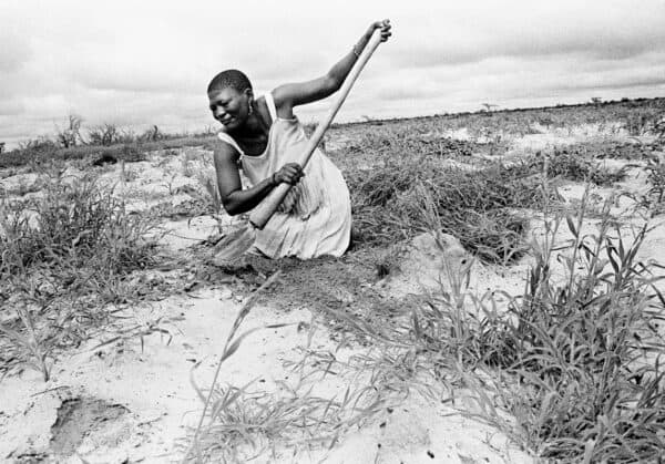 !Khwa ttu | San Spirit Shared | Encounters---Survivance-Room