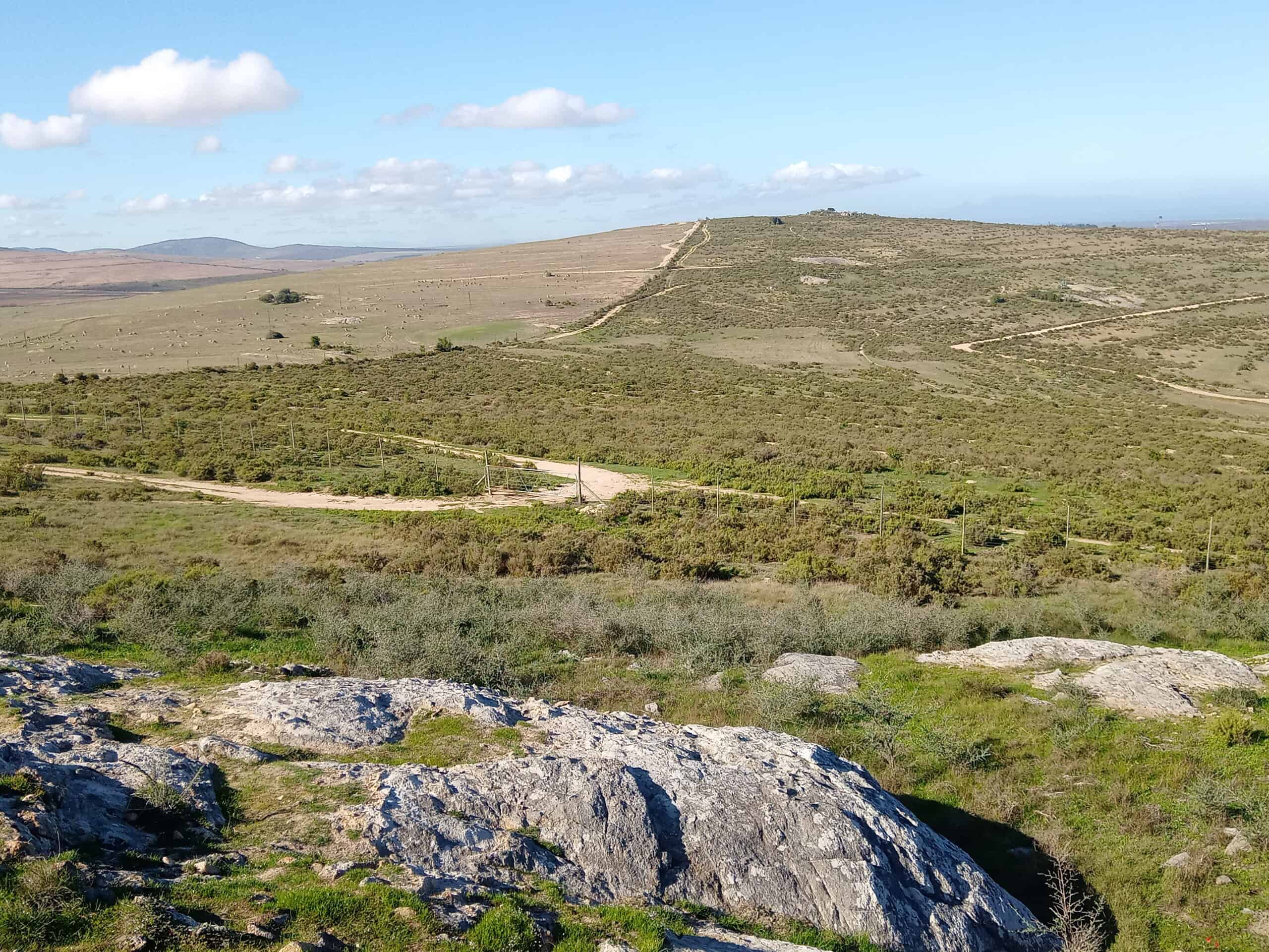Photograph at !Khwa ttu showing how the Renosterveld has been rehabilitated compared with the neighboring farmed land.