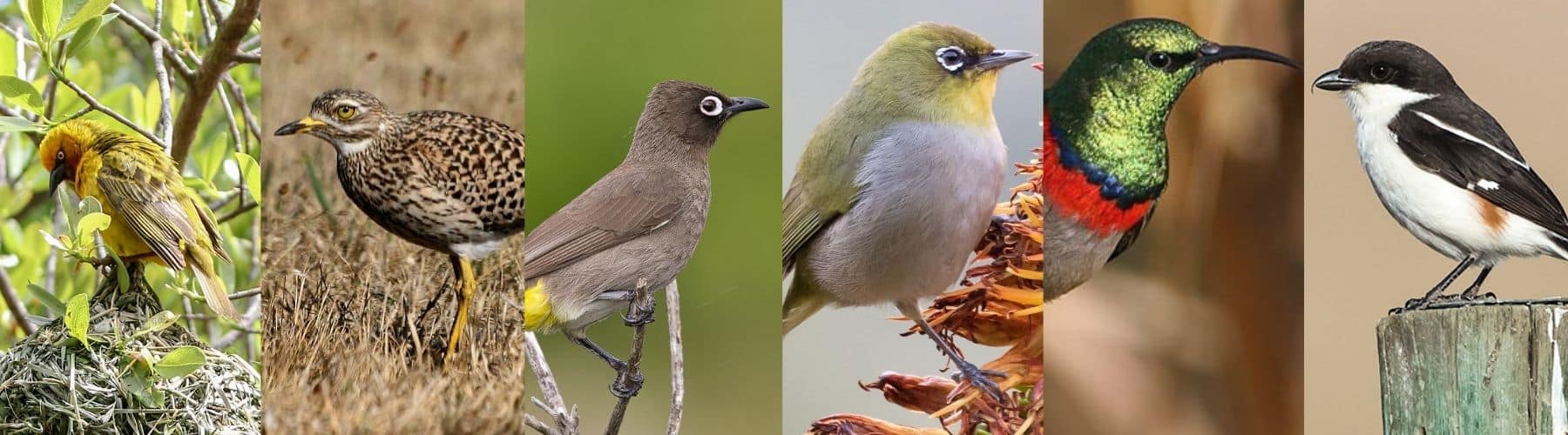 Untitled design (21)