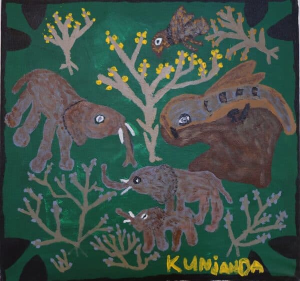 Kunyanda Shikamo - Elephants