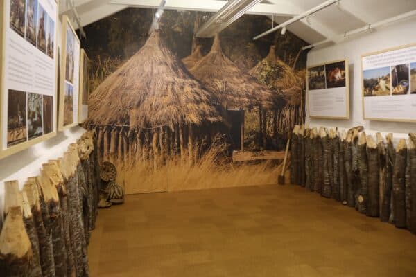 !Khwa ttu Angola 2936