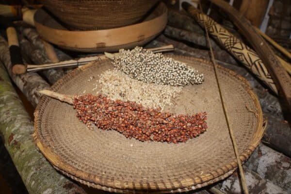 !Khwa ttu Angola 3015