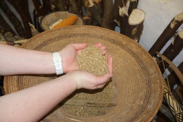 !Khwa ttu Angola 3016