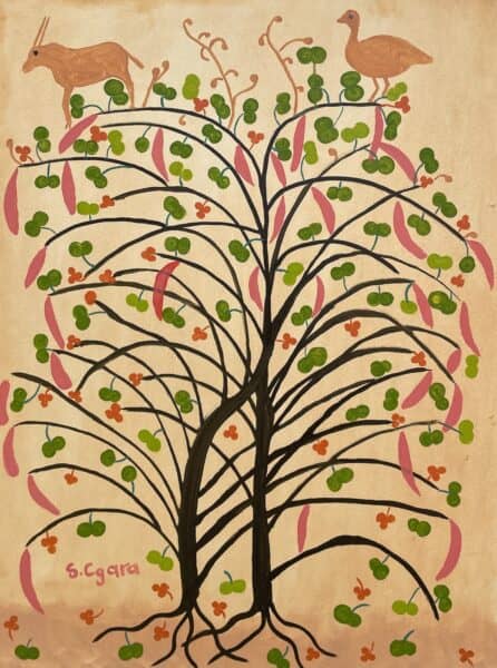 Sholex Cgara-Ntcãa Tcee Bush (Bauhinia) Coffee Bush-80x60cm